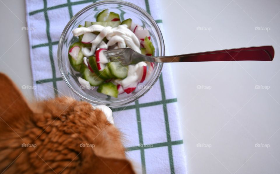 No Person, Food, Still Life, Indoors, Desktop