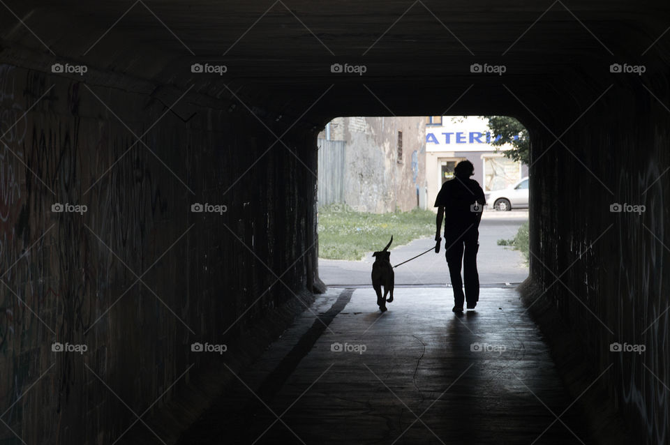 Man with a dog entering a tunnel