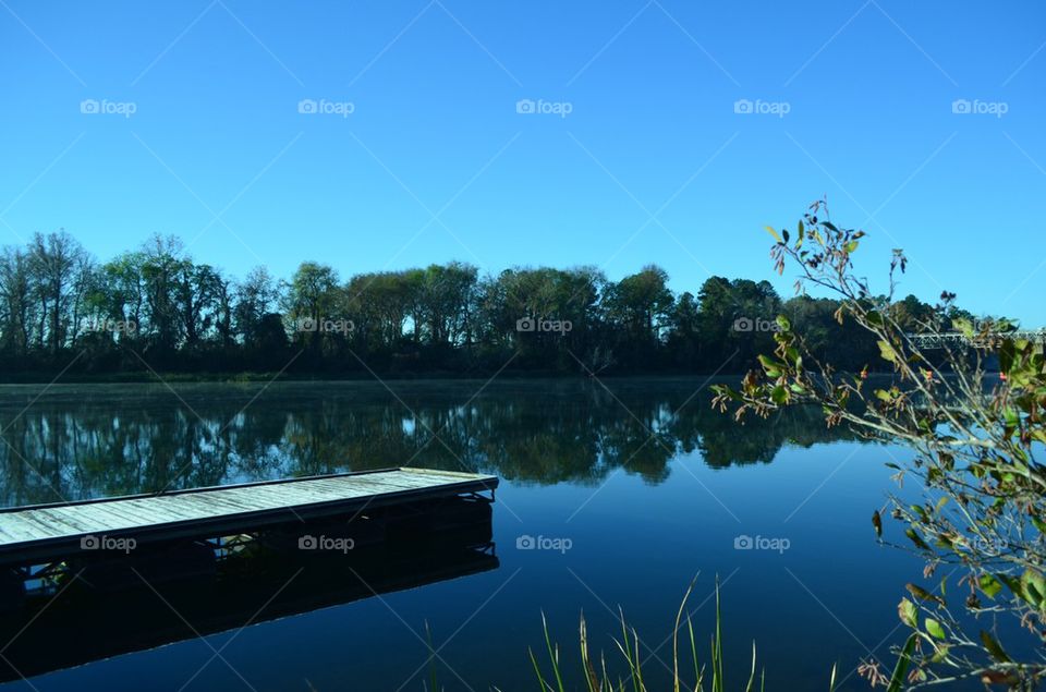 Peaceful morning at the lake