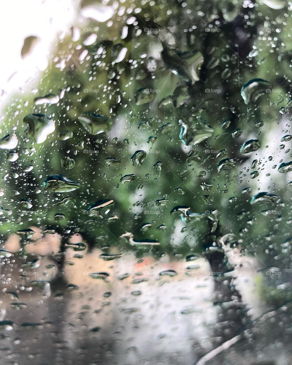 Que chuva incessante!
Tudo bem, nós precisávamos dela… então, nada de reclamar da 4a feira com bastante água.
Ainda assim, tudo fica belo.