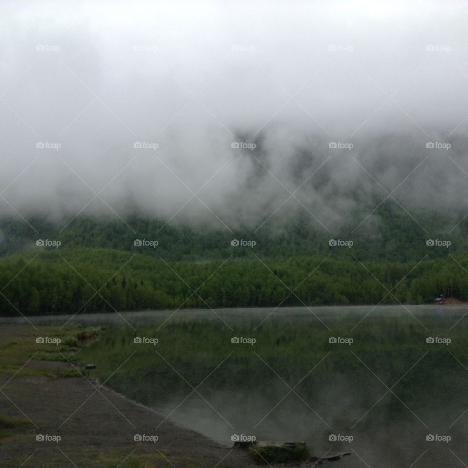 Mist. Mirror Lake 