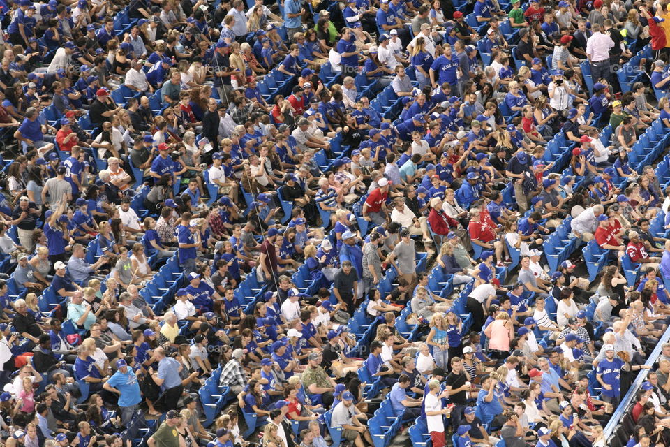 Fans, fans, everywhere fans 