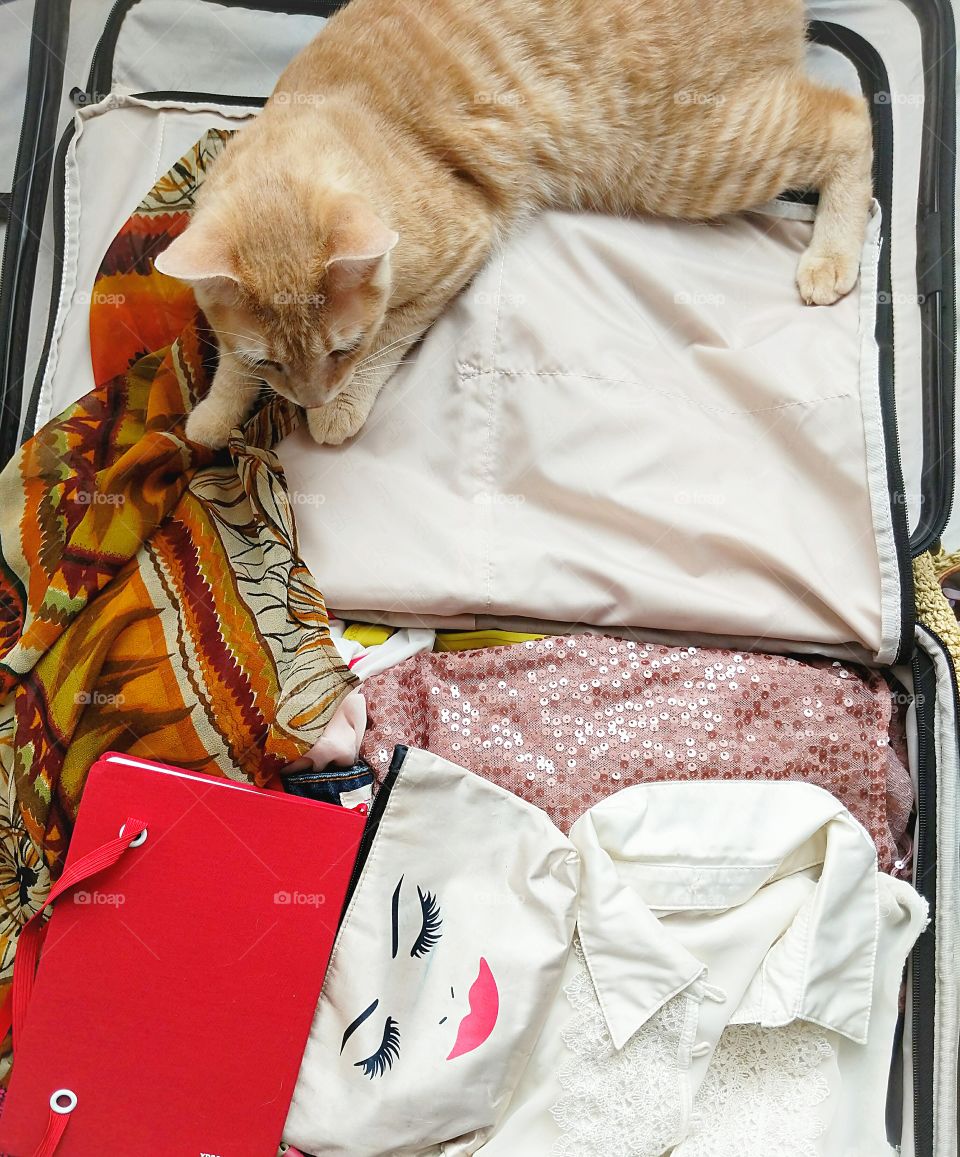 Suitcase for holiday