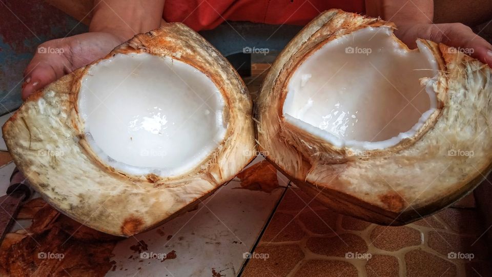 Kelapa Kopyor - Coconut Fruit