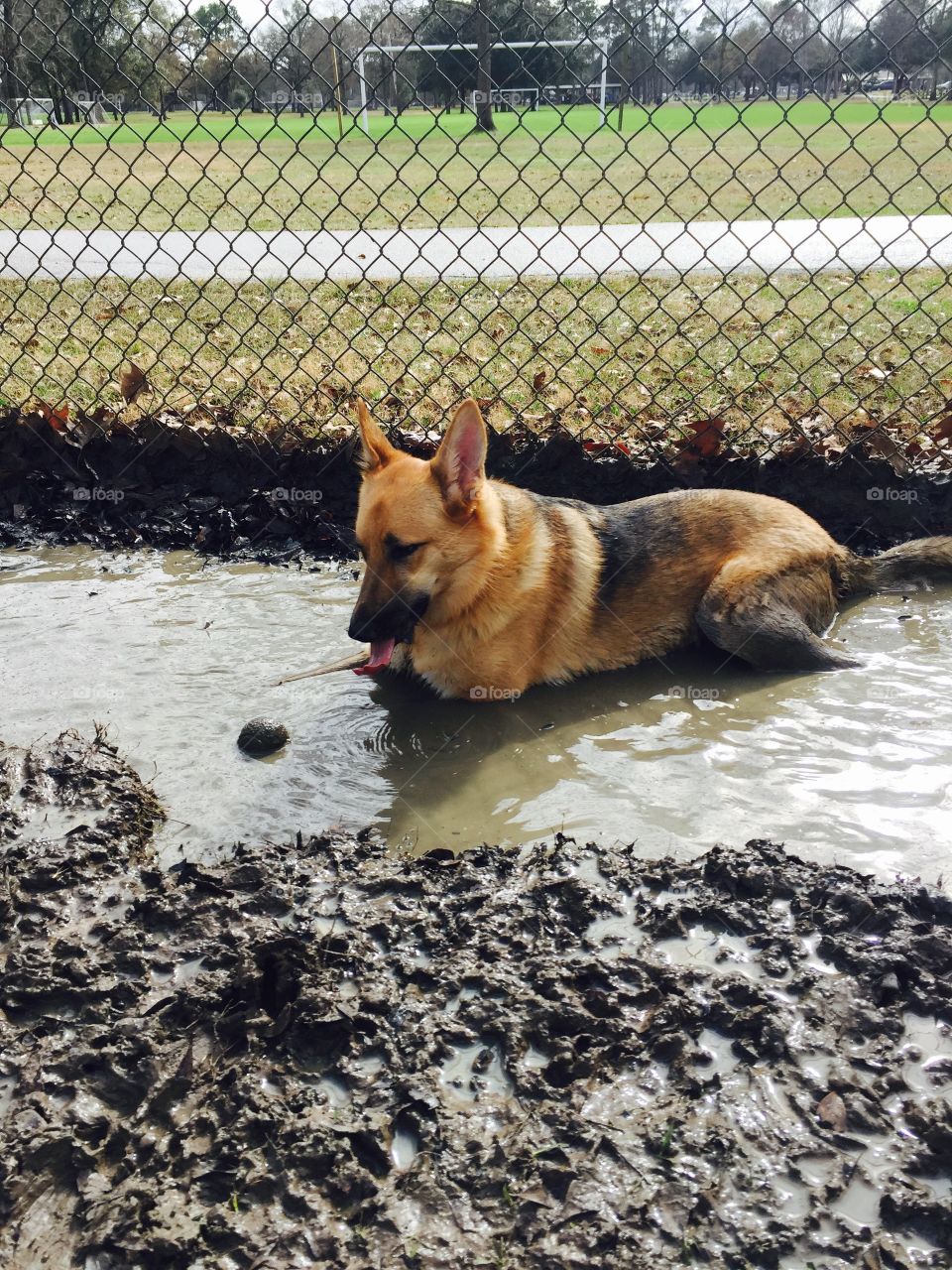 She likes bathing her toys in mud. 