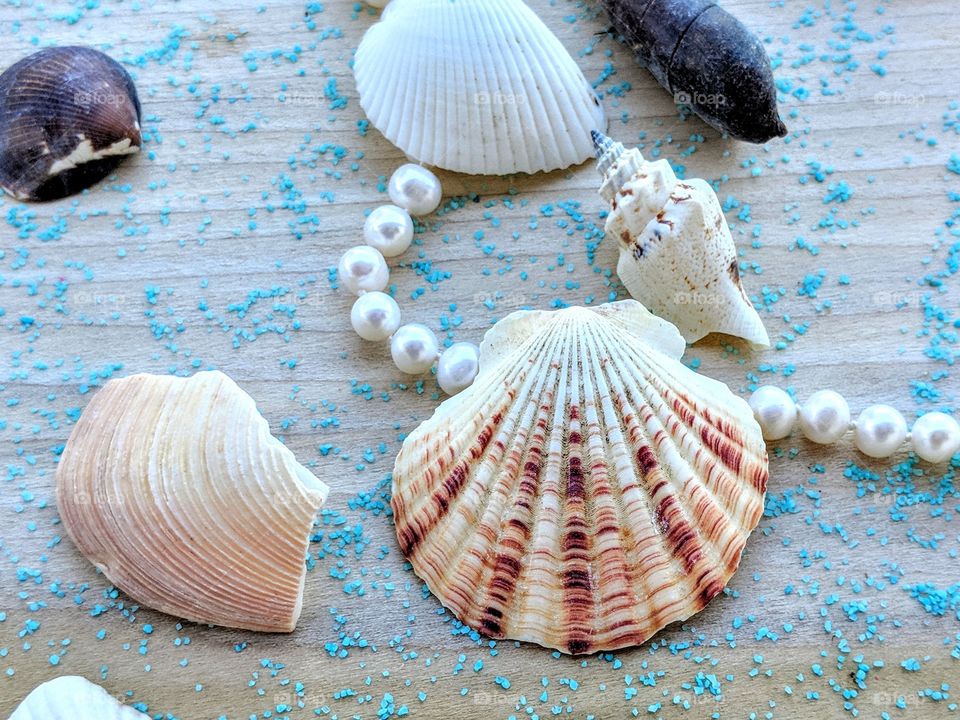 Pearls and seashells wash out