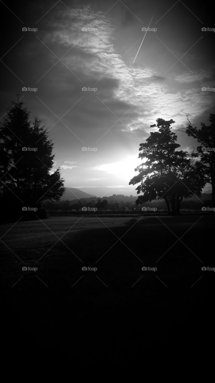 Grassy landscape against cloudy sky