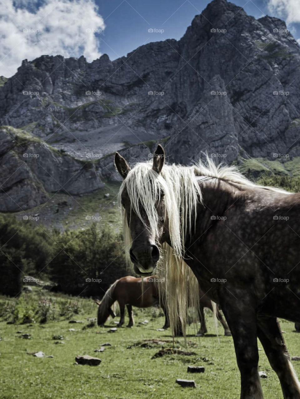 New paradise in mountain 