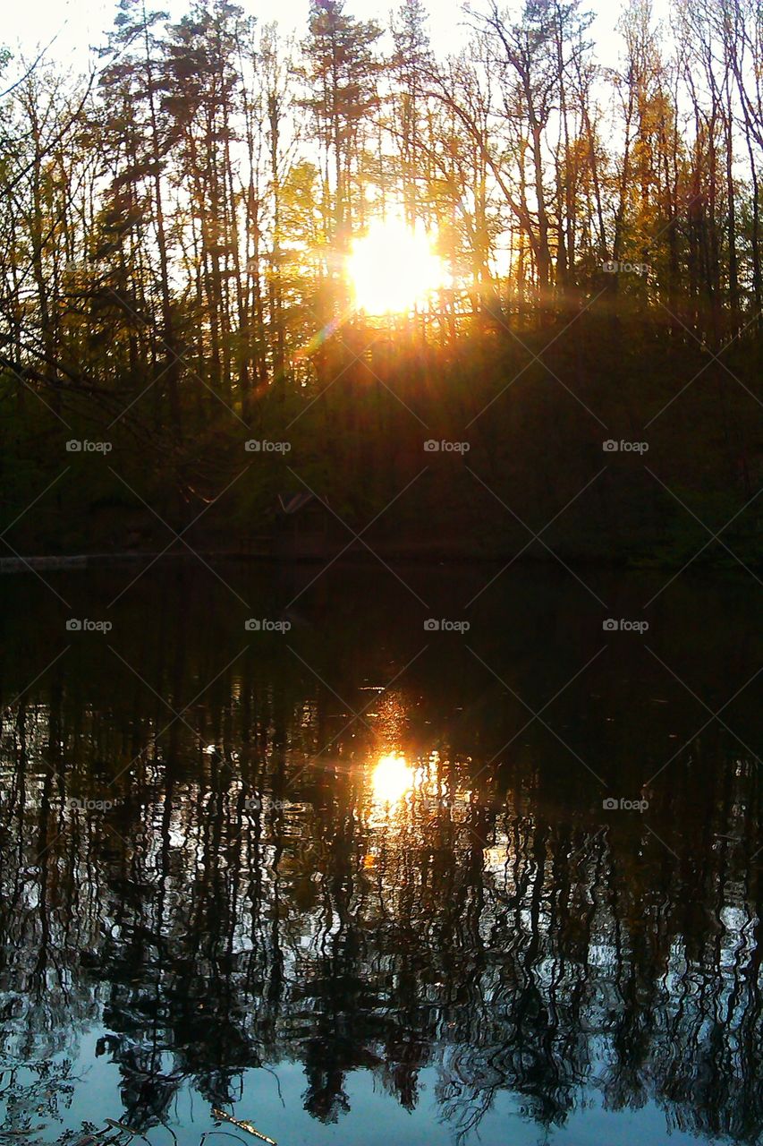 Sunlight with trees reflected on lake