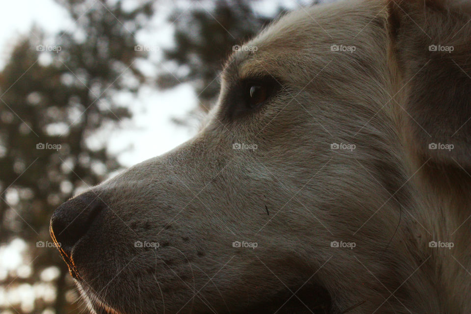 Tai explores a strange planet