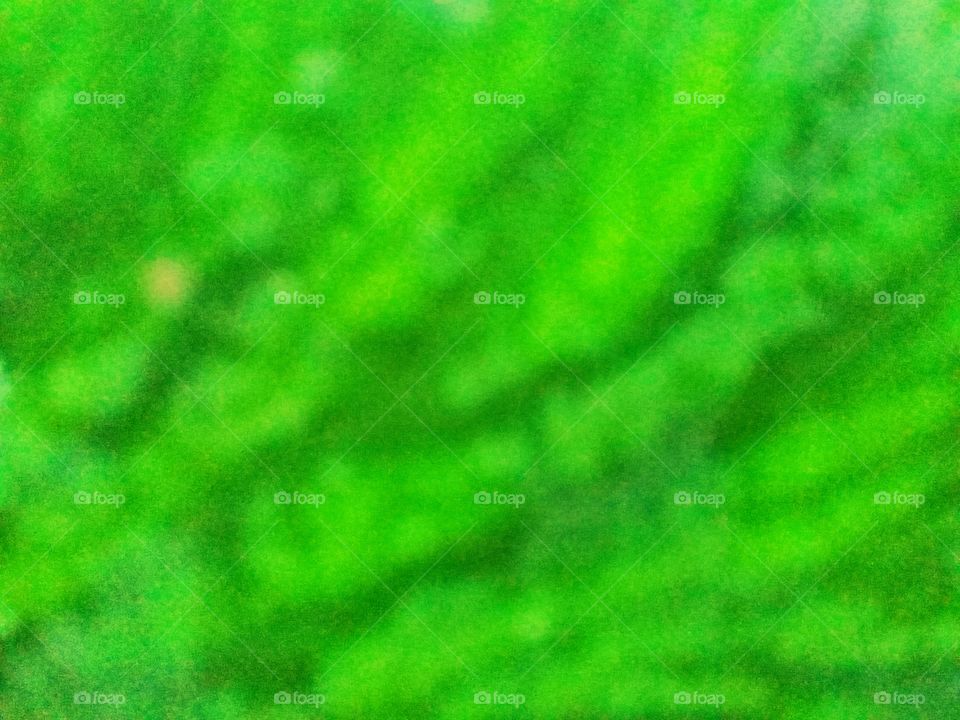 The texture with green color