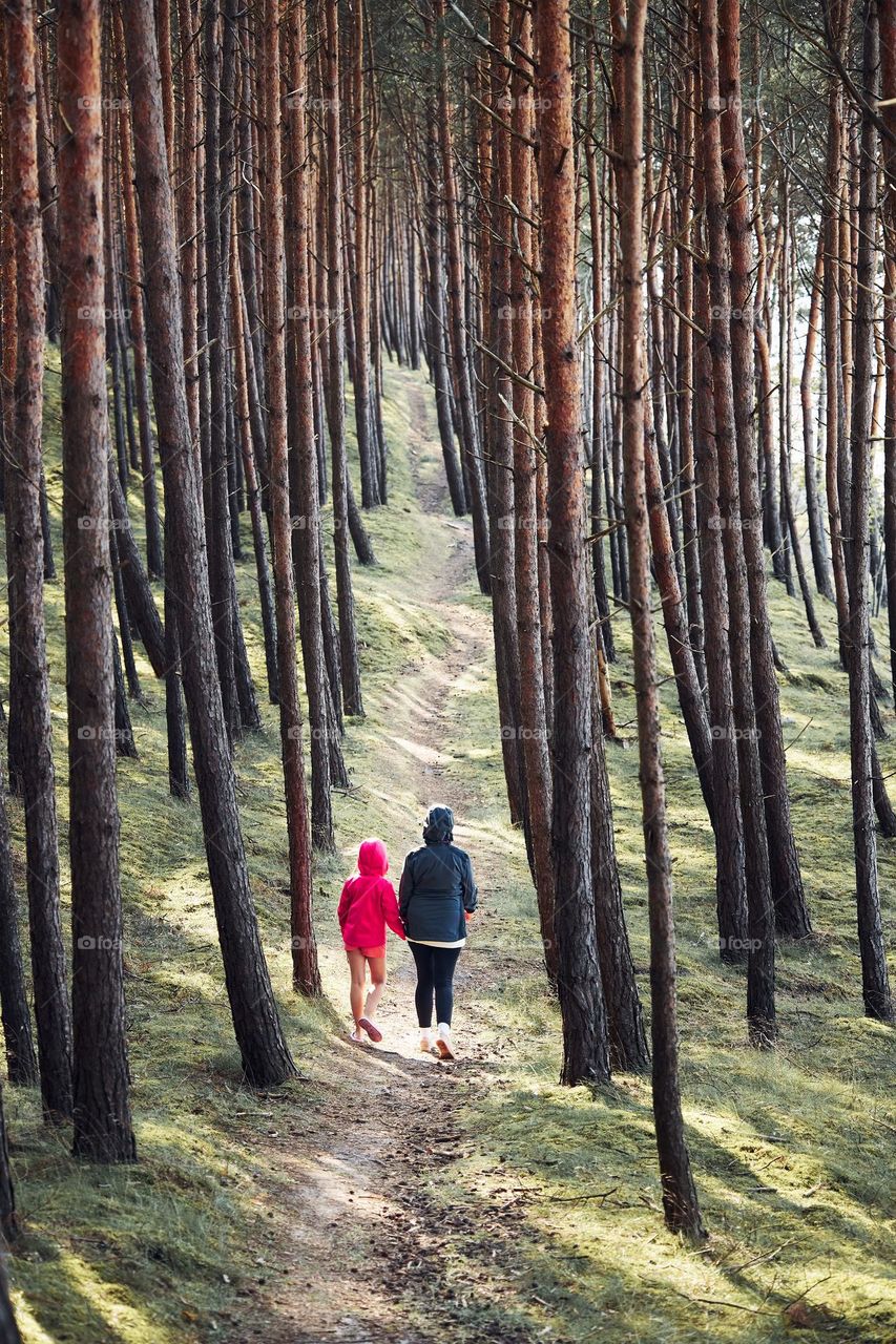 Summer vacation trip close to nature. Family walking in forest. People actively spending leisure time. Back view of woman with daughter enjoying long walk during summertime. Travel concept