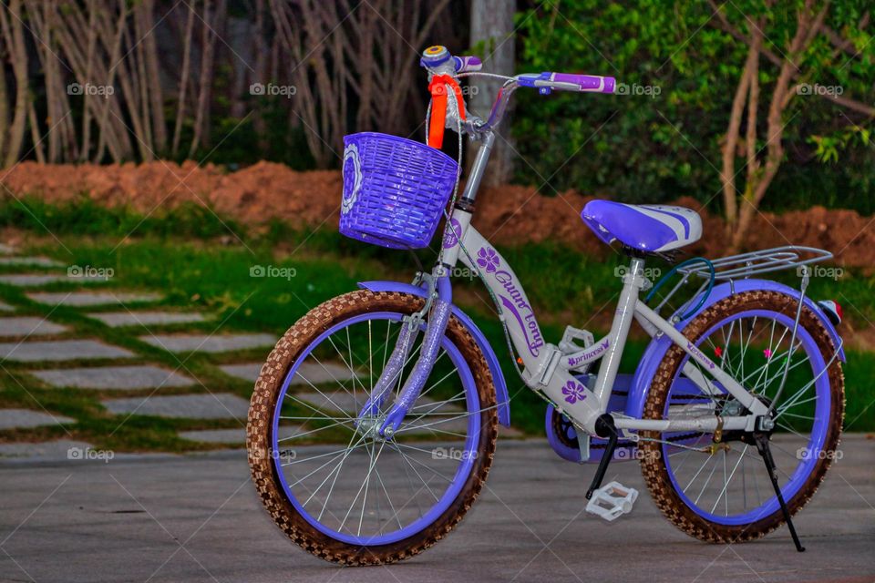 The purple solo bike in park.