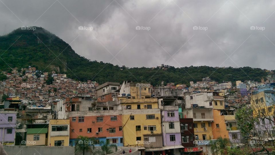 Favela