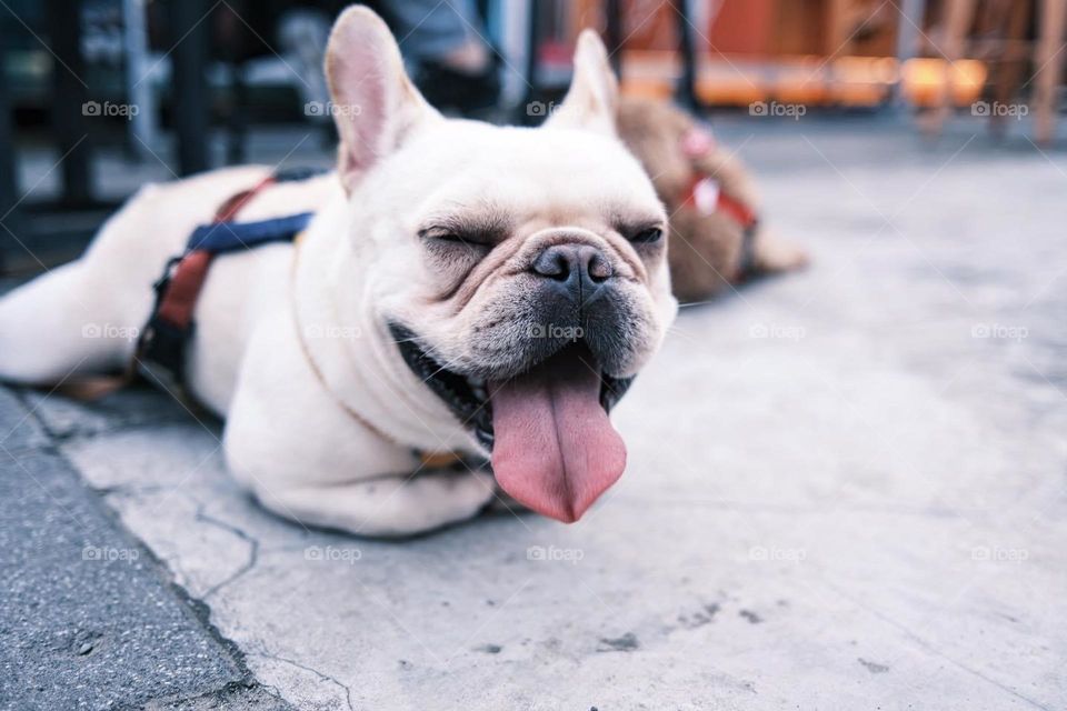 Life and art in visual impressions