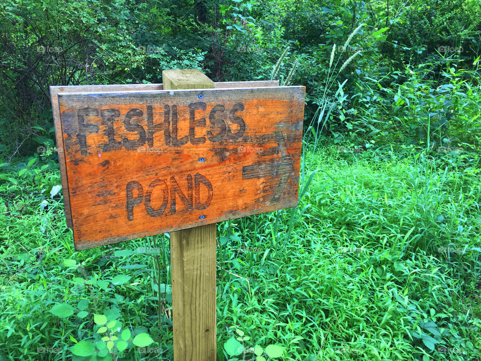 Fish less pond sign  