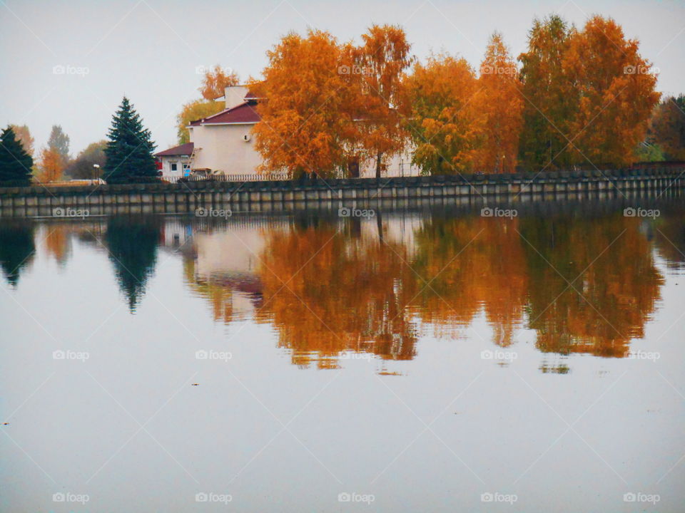 No Person, Lake, Water, Reflection, Tree