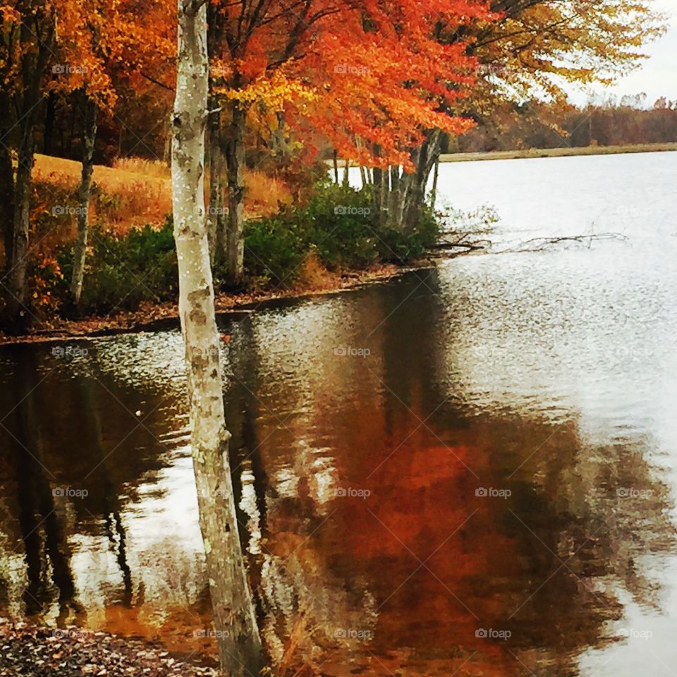 Fall reflections 