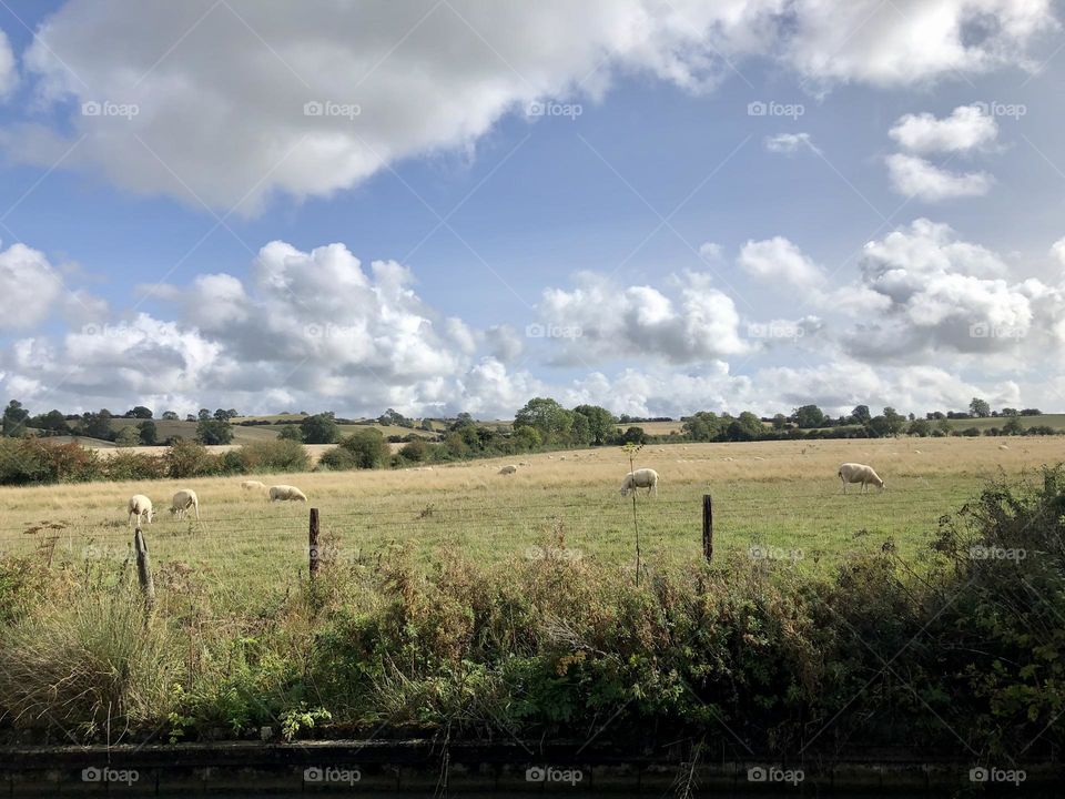 Late morning narrowboat cruise on Oxford canal past Willoughy near Onley and Barby clear sunny sky lovely late summer weather vacation holiday English country sheep field farm clouds 