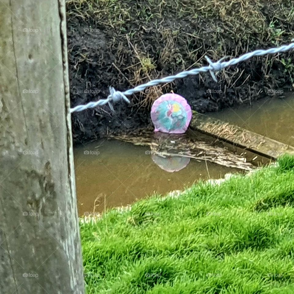 A balloon in the ditch