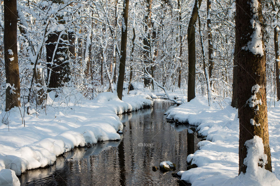 Scenic view of a river during winter