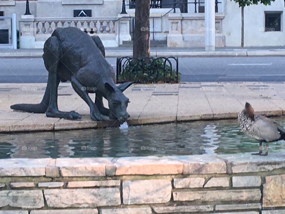 Kangaroo statue with a bird on Perth avenue.