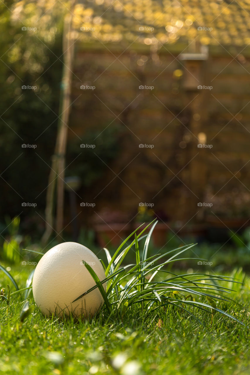 Easter decoration in garden. Easter decoration eggs on grass in garden. 