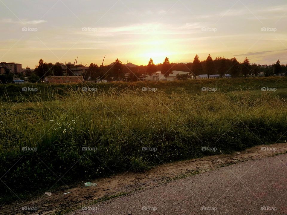 sunset in the spring