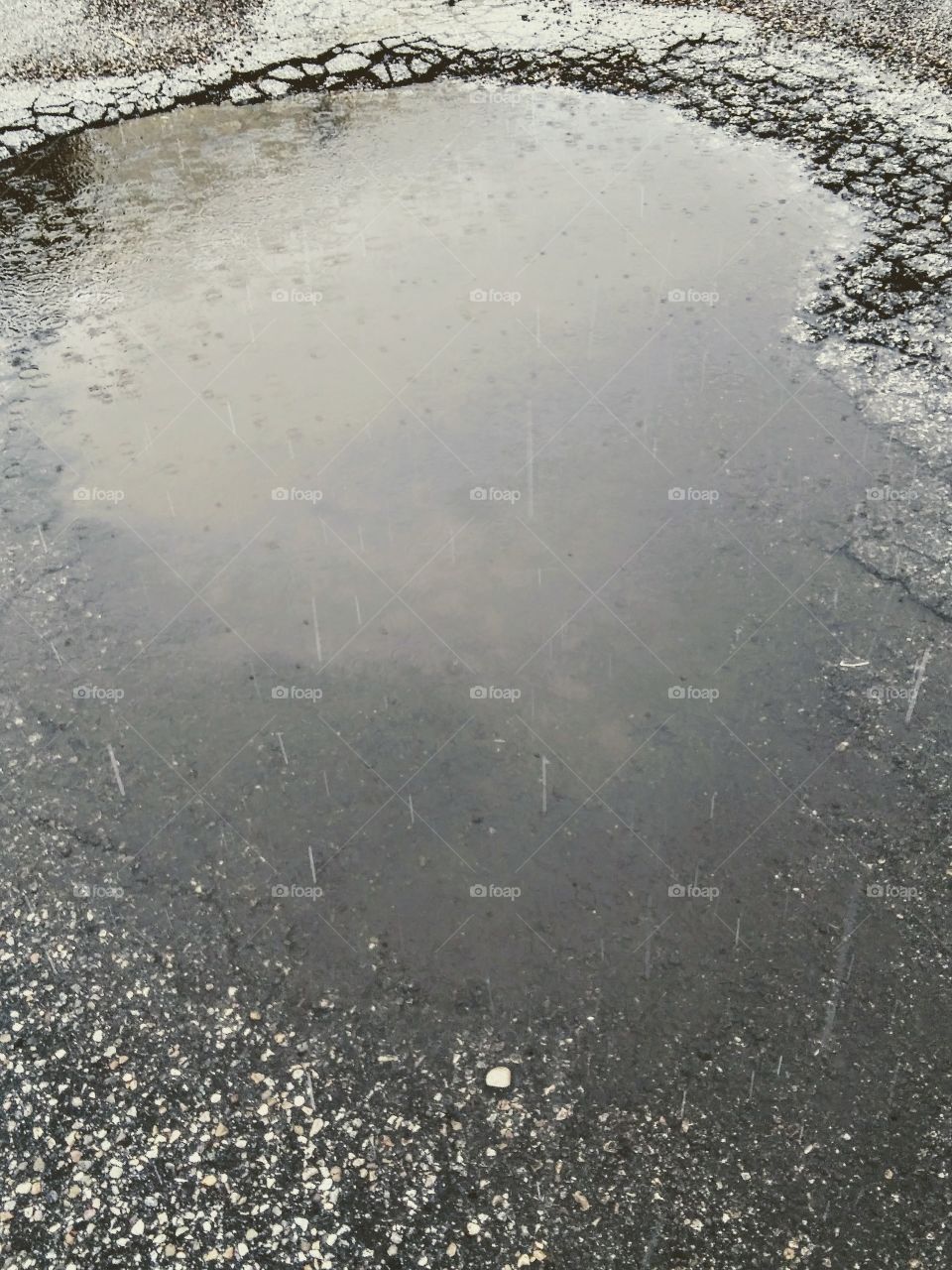 puddle in the rain