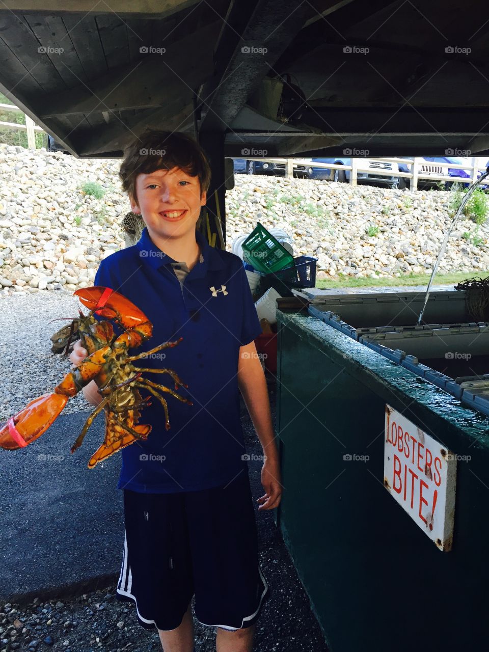 Lobster picking Arcadia Maine