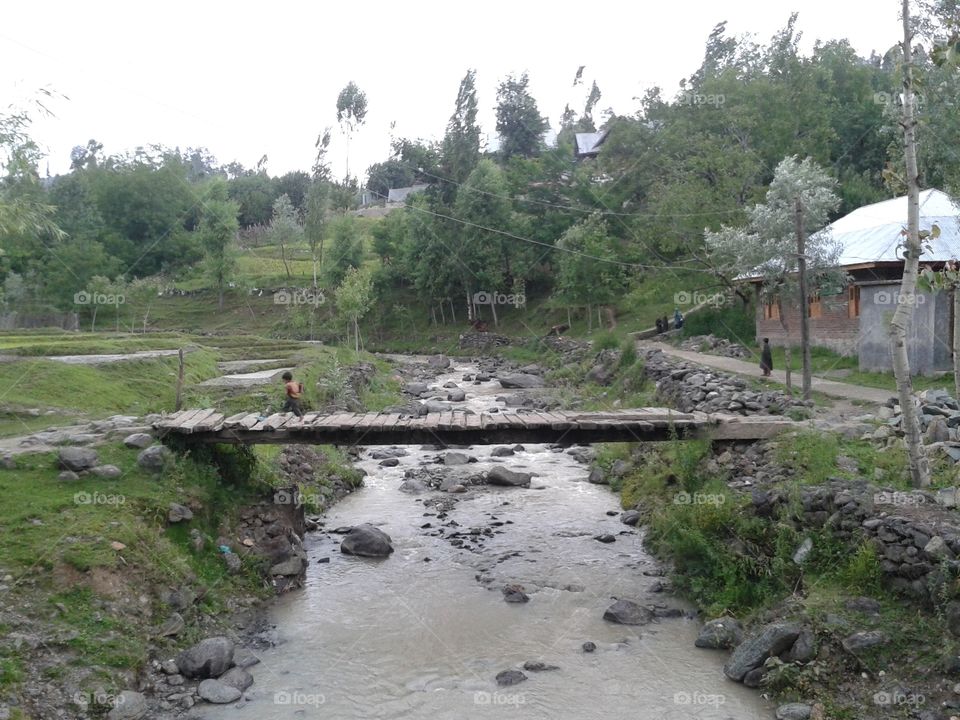 Water, Nature, Landscape, Environment, Flood