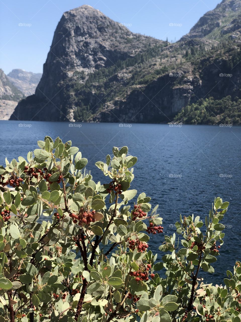 Hetch Hetchie Reservior