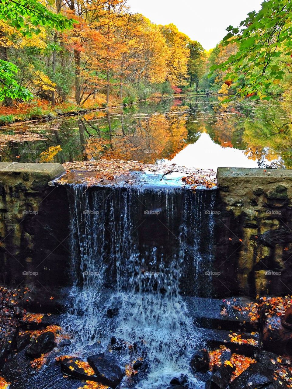 Scenic view of waterfall