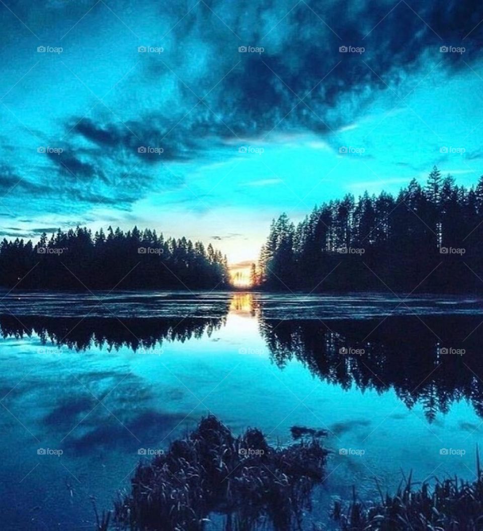 Красота природы