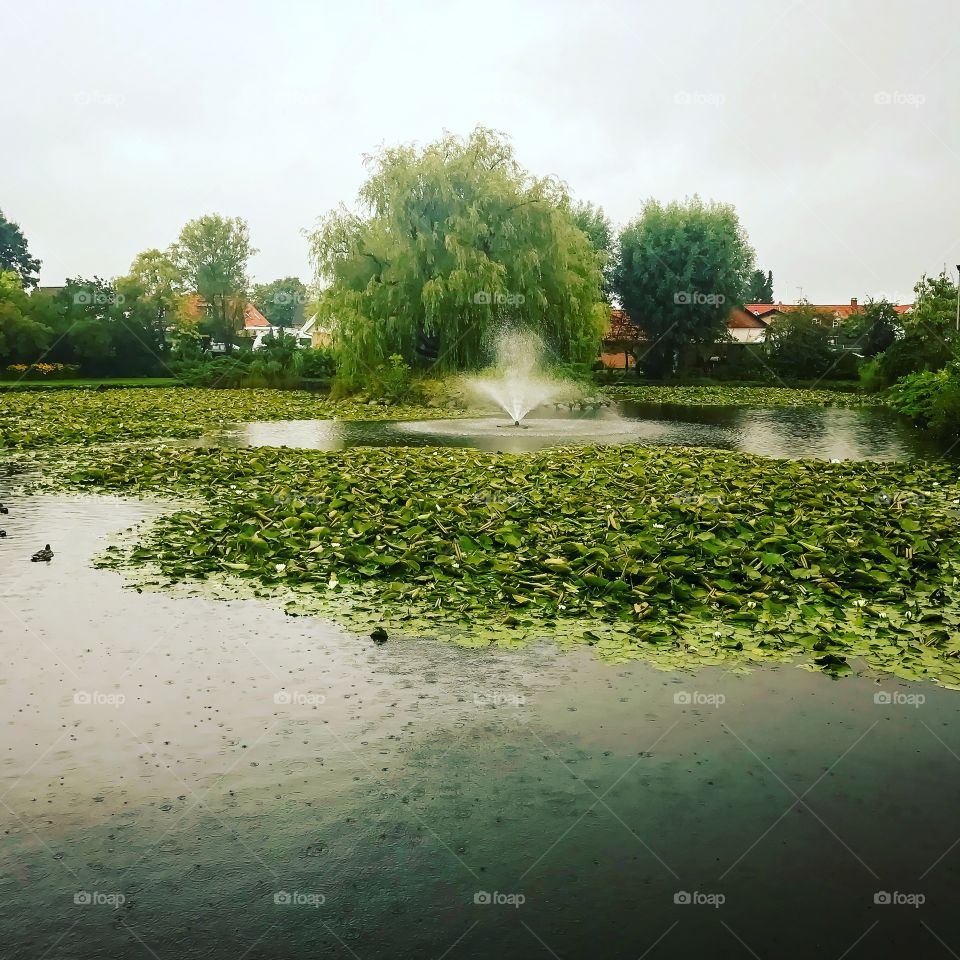 Rainyday at the streetlake 