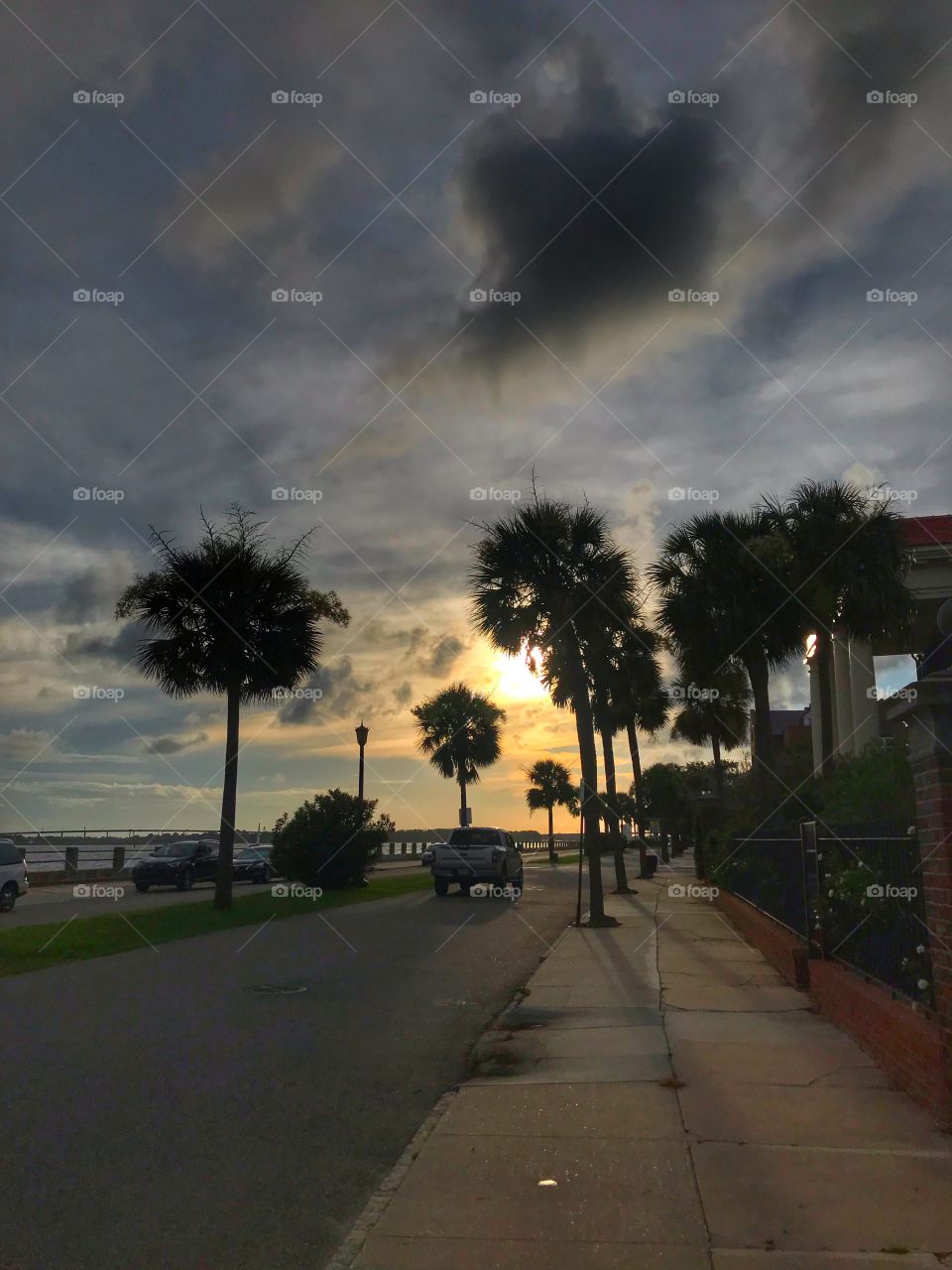 Tree, Street, No Person, Travel, Light