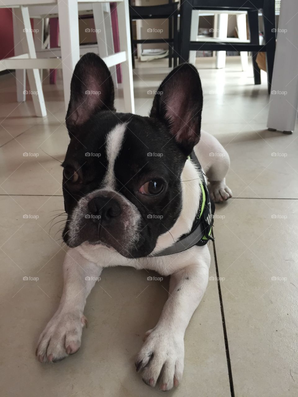 hey，how are you？