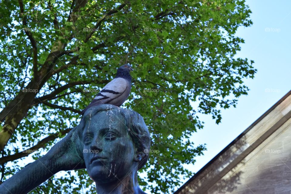 Captured this funny moment A bird sitting on a statue head  in the street