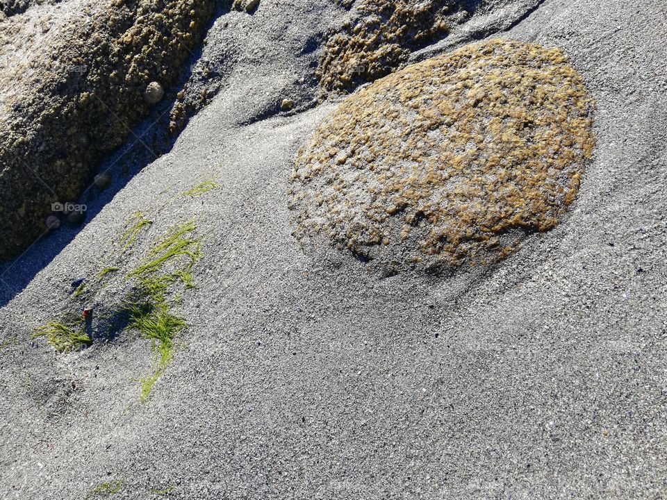 Rocher et plage bretonne