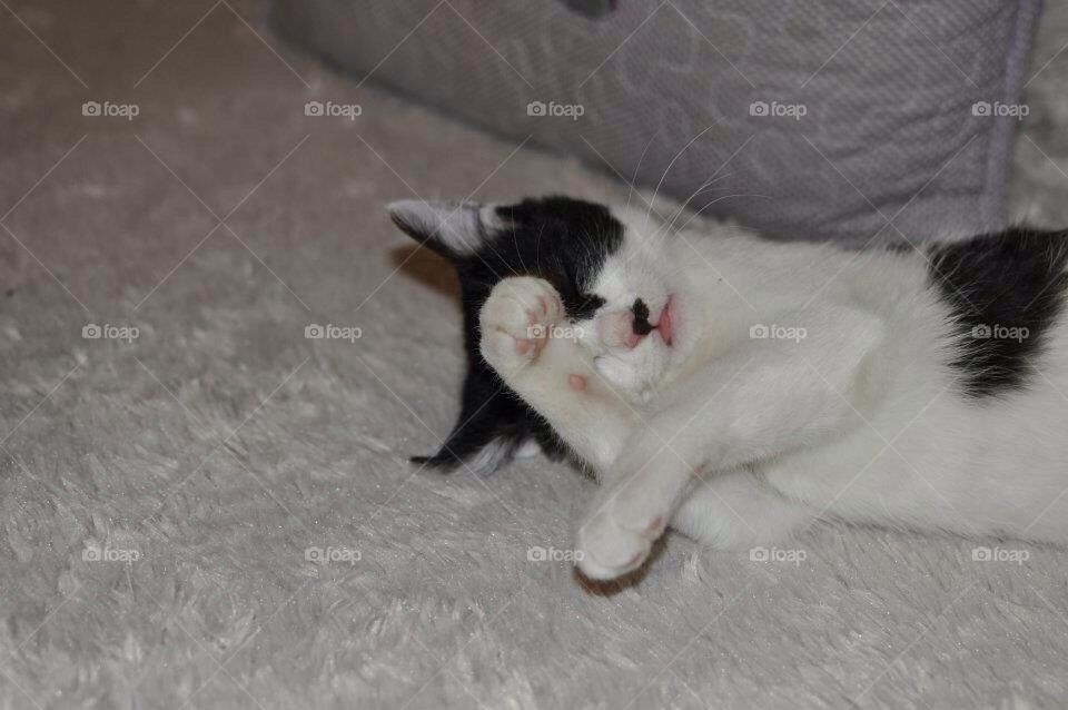 white black baby sweet by severina1