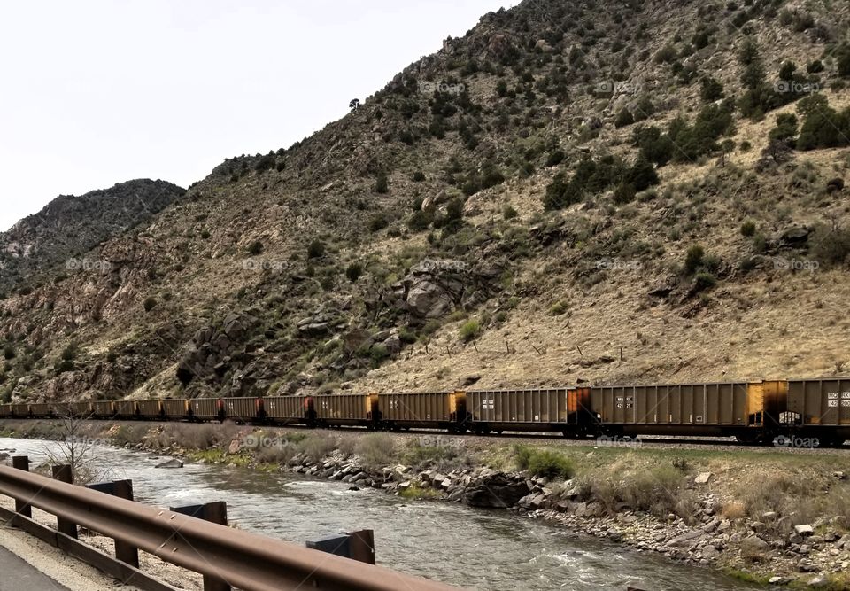 Abandoned Railcars