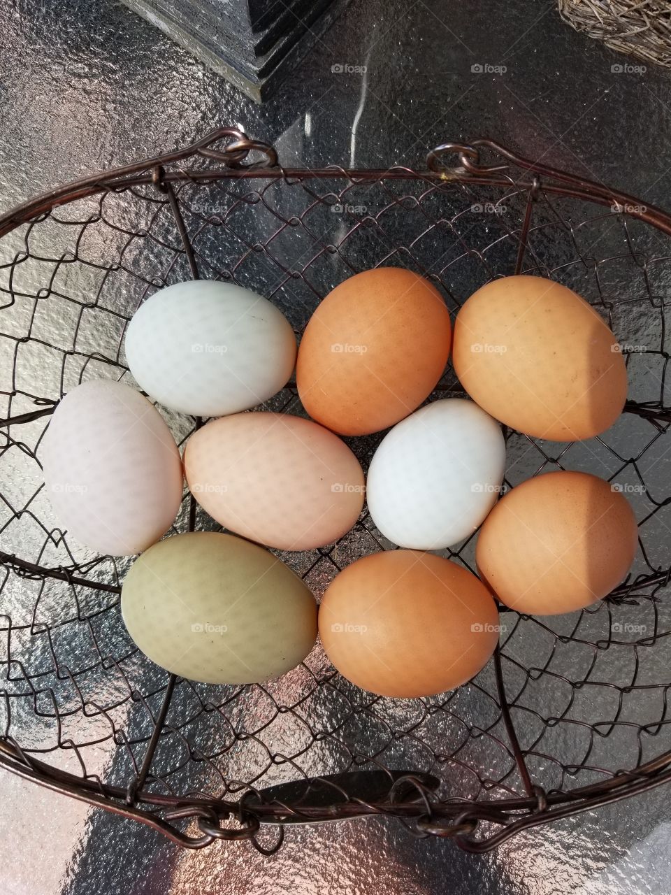 Beautiful Eggs