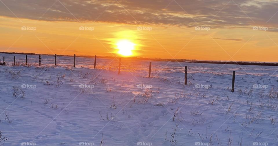 WINTER SUNSET IN THE PRAIRIES