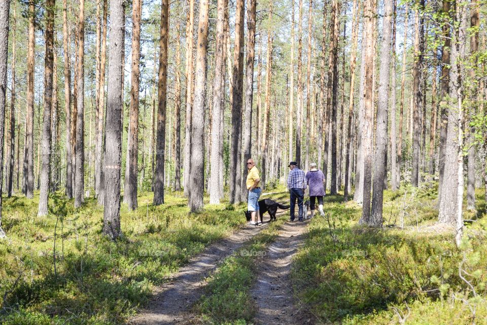 People walking in the forest