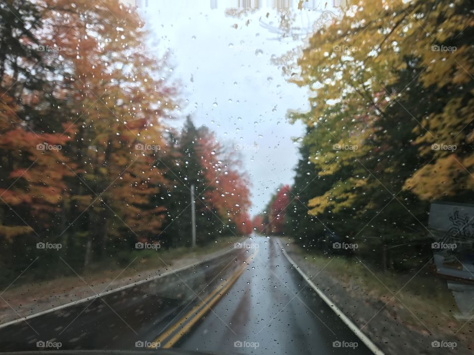 Rainy fall day