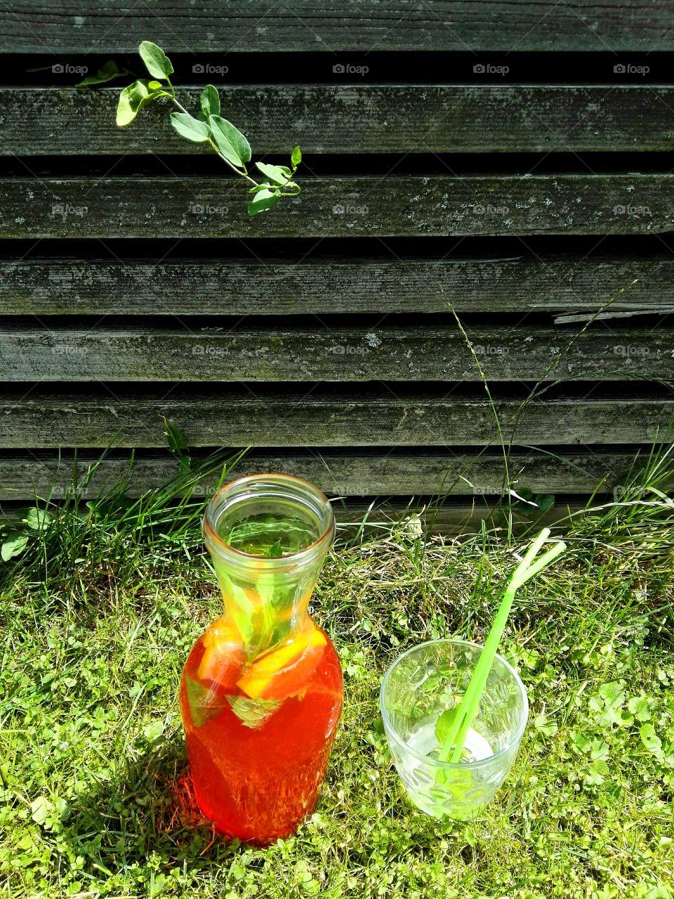 homemade summer juice