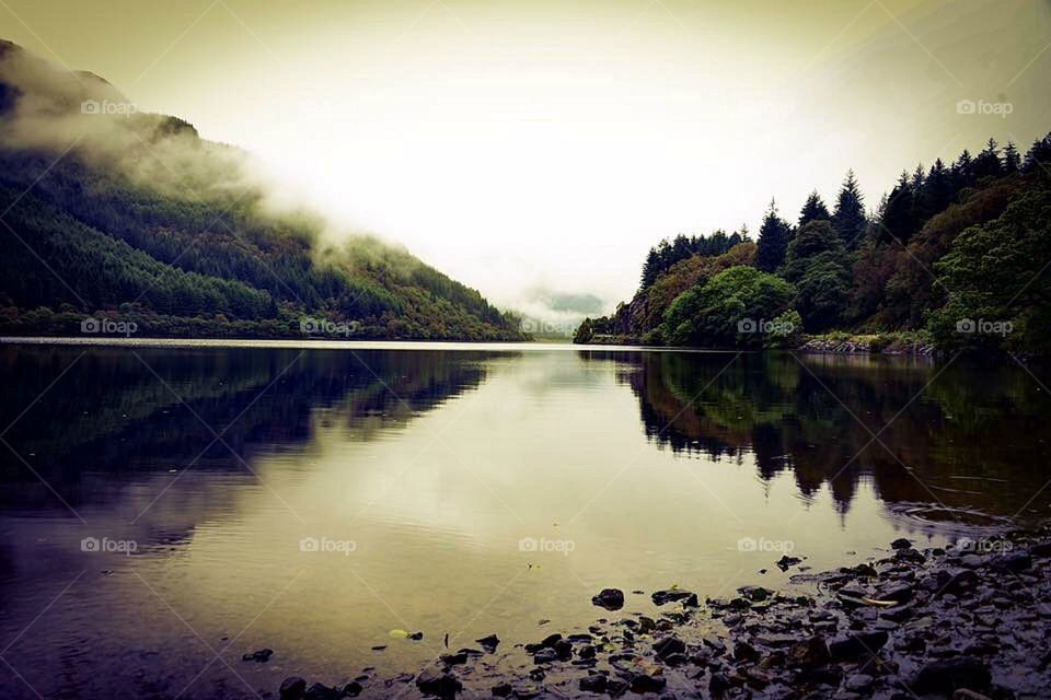 Trees reflecting on lake