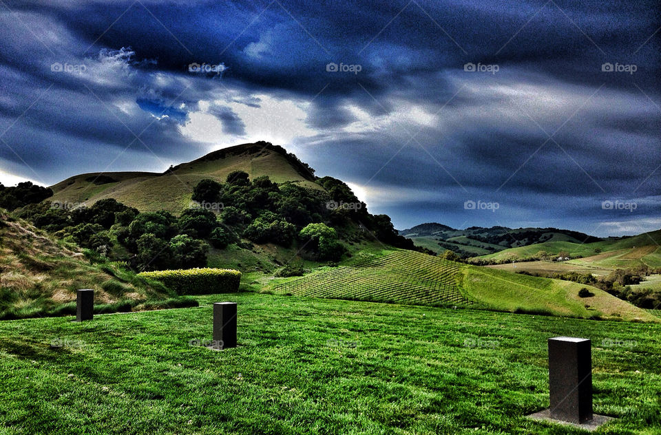 green vineyard nature grass by stevehardley7