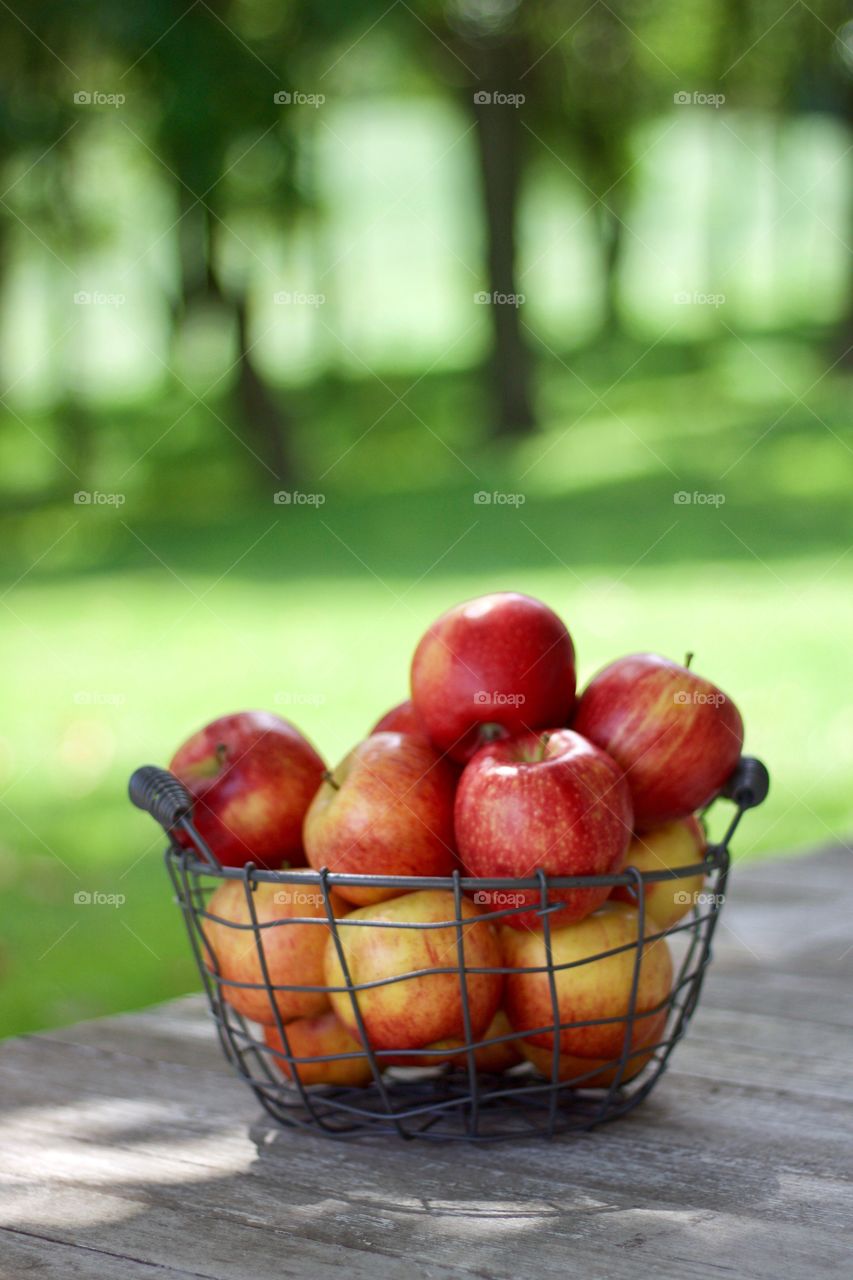 Fruits! - Apples in a wire basket on a weathered wooden surface against a background of blurred trees