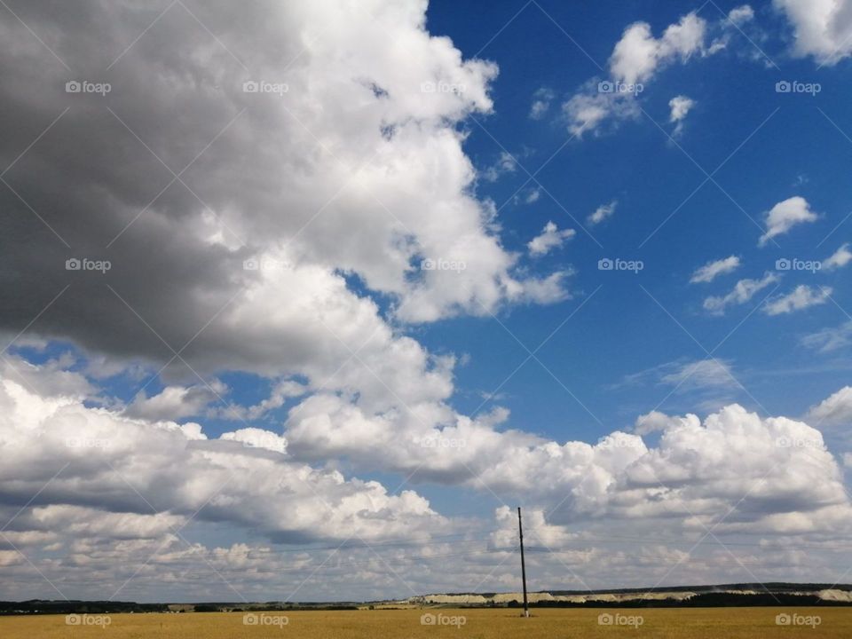 Horizon between blue skies with clouds and wheat field